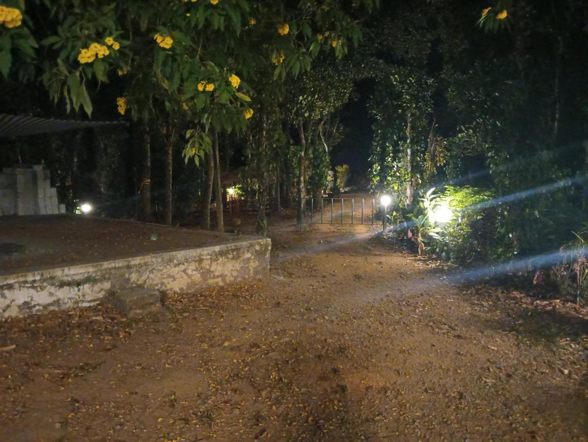 ואגאמון Tharayil Farm Stay מראה חיצוני תמונה