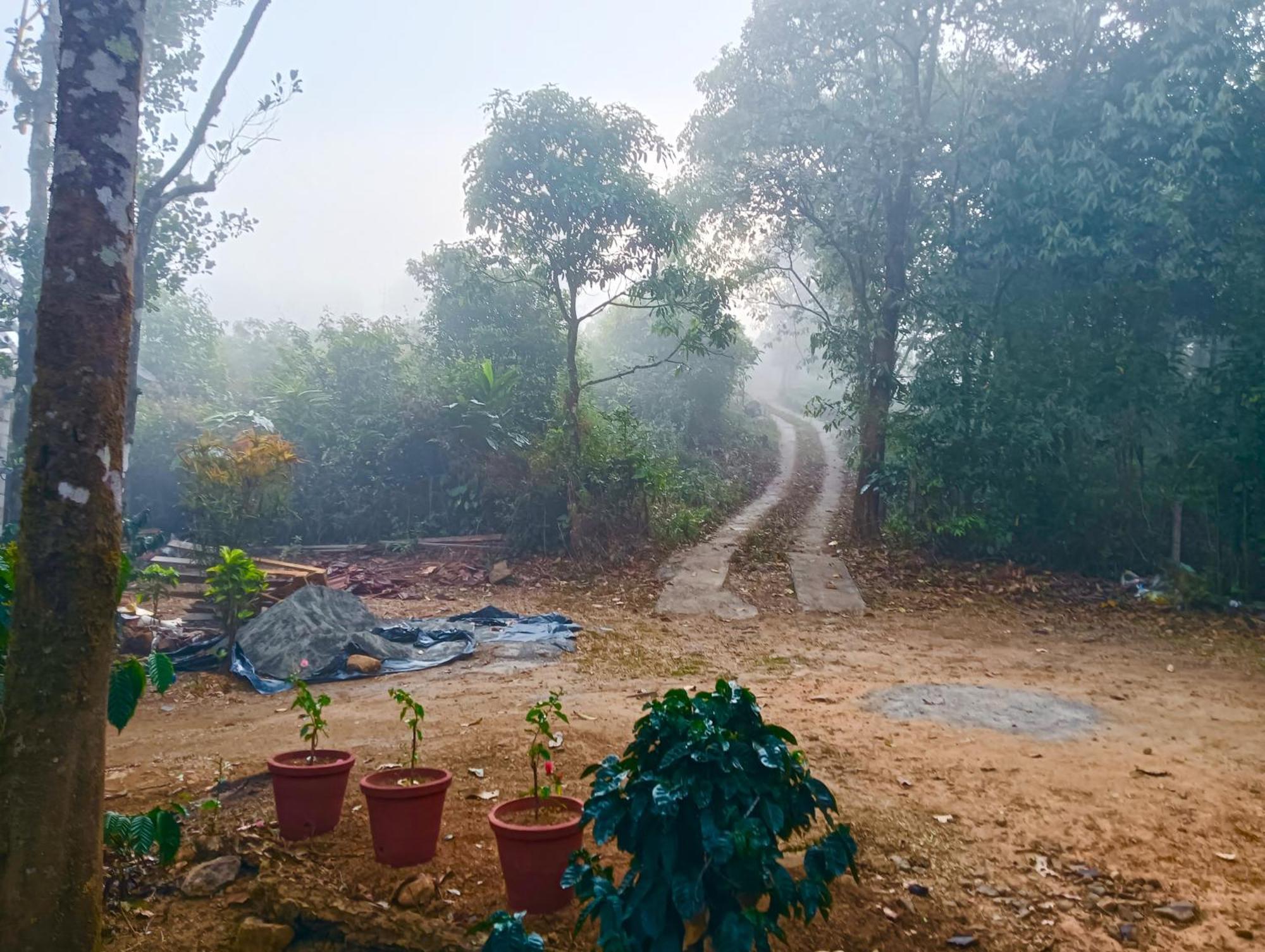 ואגאמון Tharayil Farm Stay מראה חיצוני תמונה